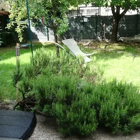 La Closerie Aux Violettes - Bed and breakfast Toulouse
